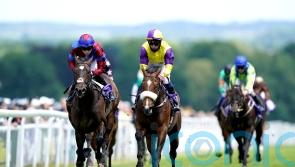 Ryan expecting Dark Moon to rise to Burradon challenge