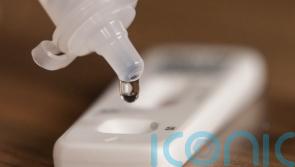 Covid-19 infection levels fall across most of the UK