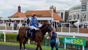 Accidental Agent rolls back the years at Newmarket