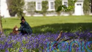 Good Friday set to be hottest day of year, experts predict