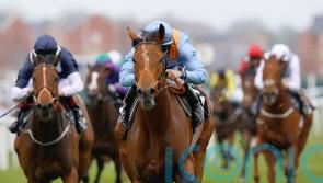 Raymond Tusk takes on Porter prize for Alan King