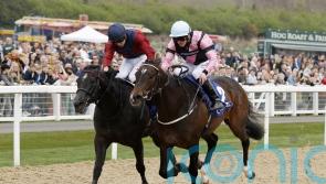 Commonwealth Cup possibility for El Caballo as all-weather run goes on