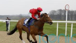 Plan comes to fruition as Highfield Princess sets up big sprint campaign