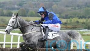 Fahy anticipating bold Irish National show from Mister Fogpatches