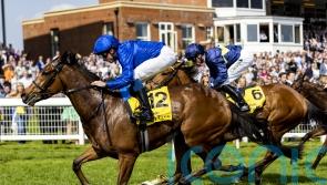 Wild Beauty enhances Classic claims with Newbury verdict