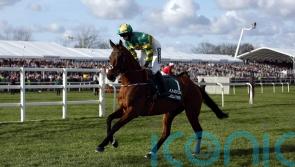 Minella Times chasing Grade Three compensation at Cork