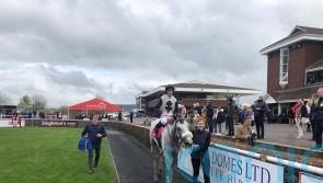 Thunder Kiss headed for Group One competition after a comfortable Noblesse success