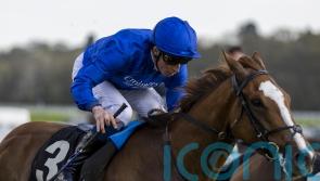 In-form Buick makes it a Newbury brace with Modern News