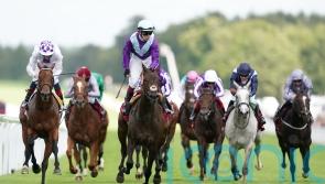 Alcohol Free poised for Sandown return