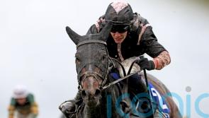 Brandy Love too good for Grade One rivals at Fairyhouse