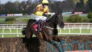 Galopin Des Champs cruises to Grade One Gold at Fairyhouse