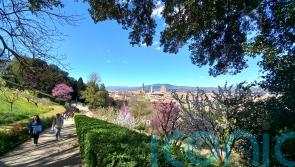 Why Florence is the perfect destination to let your creative juices (and fine wines) flow