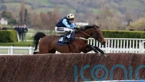 No Aintree regret for King over Edwardstone