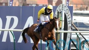 Progressive Win My Wings heads up bet365 Gold Cup contenders
