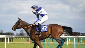 Lord Lariat springs 40-1 shock in Irish National