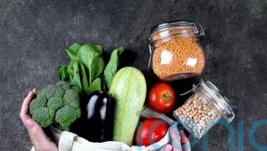 How to do vegetable gardening the zero waste way