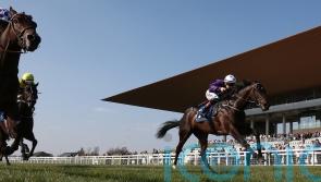 Malex to go on Guineas trial in Tetrarch