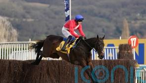 Mullins favouring Gold run with Allaho at Punchestown