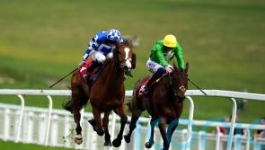 Sizzler burns off City And Suburban rivals