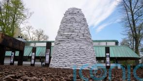 Ukrainian artist makes cultural stand at Venice Biennale