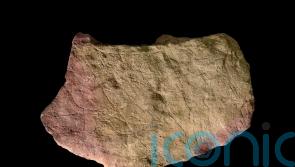Prehistoric people created art by flickering firelight – study