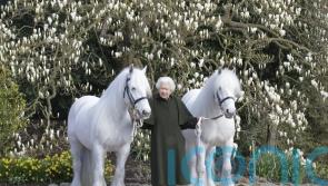 Queen hailed as ‘inspiration to so many’ on 96th birthday