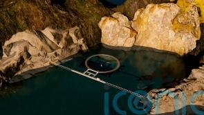 World-first floating habitat to aid whales’ reintroduction to open water