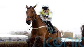 Hales happy to head for Punchestown with Aintree hero Millers Bank