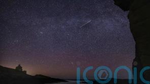 Lyrid meteor shower set to delight stargazers