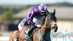 Loughnane confident ‘rock solid’ Hello You can make Guineas impact