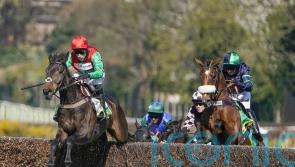 Enrilo ‘ready to run for his life’ in bet365 Gold Cup redemption bid