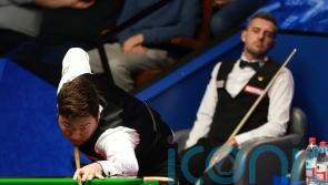 A coo for snooker: Pigeon stops the World Championship action