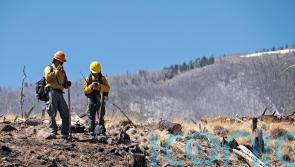 Growing US wildfires ‘a very chaotic situation’, expert says