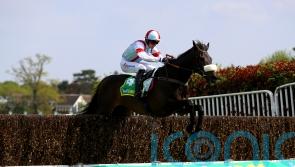 Saint Calvados delivers impressive Oaksey success