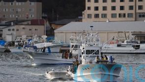 Search locates nine people from tour boat missing off northern Japan