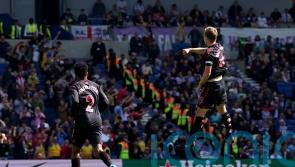 James Ward-Prowse scores two stunning strikes as Southampton claim Brighton draw