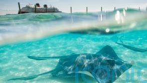 Discover the secret Bahamian island where Mickey and Minnie reign supreme