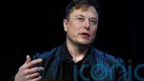 Twitter ‘in talks with Musk to buy platform’