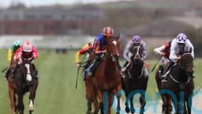 Favourite Tenebrism tops 16 in contention for 1000 Guineas gold