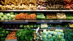 Campaigners to hold day of action to support laws on right to food for all Scots