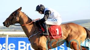 Bob Olinger steps up in search of Festival double at Punchestown