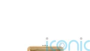 Rare Faberge egg to go on show at Surrey National Trust house