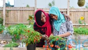 How to set up a community garden – and aid mental, physical and social wellbeing
