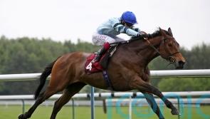 Morrison on fact-finding mission as Quickthorn takes Sagaro test