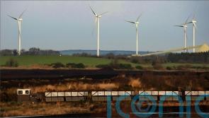 Government urged to ‘ditch’ plans to curtail sale of turf