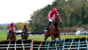 Mighty Potter springs 20-1 Punchestown surprise