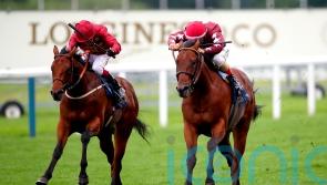 Golden Pal primed to lead Ward’s Royal Ascot team