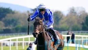 Energumene dominates to deliver Champion Chase double