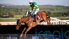 Capodanno sparkles as Bob Olinger disappoints in Champion Novice Chase