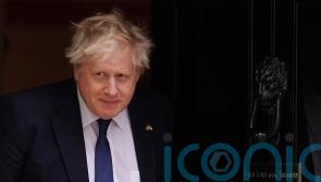 Johnson says public deserve ‘faster, cheaper’ passport service